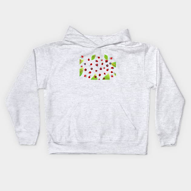 LadyBugs 2 Kids Hoodie by stadia-60-west